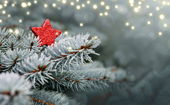 Holiday Tree Ornament