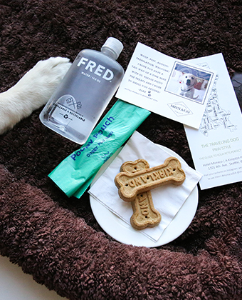Pet Friendly Amenities at Kimpton Seattle